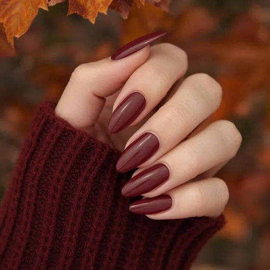 12 classy almond fall nails IMG12